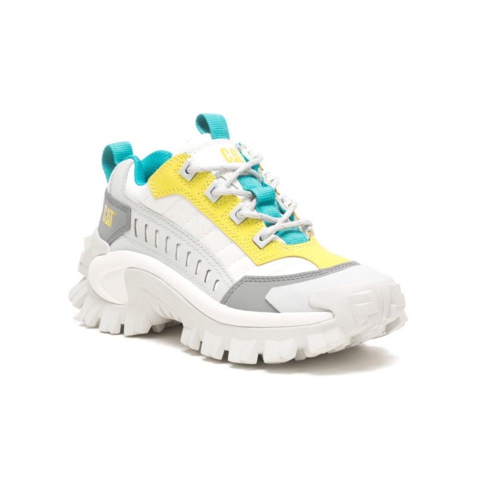 Caterpillar εισβολέας παπούτσι παγετώνας γκρι-θείο άνοιξη