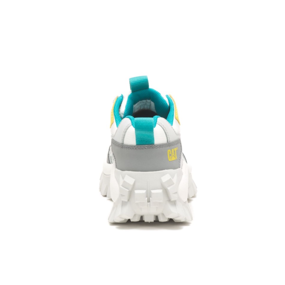 Caterpillar εισβολέας παπούτσι παγετώνας γκρι-θείο άνοιξη