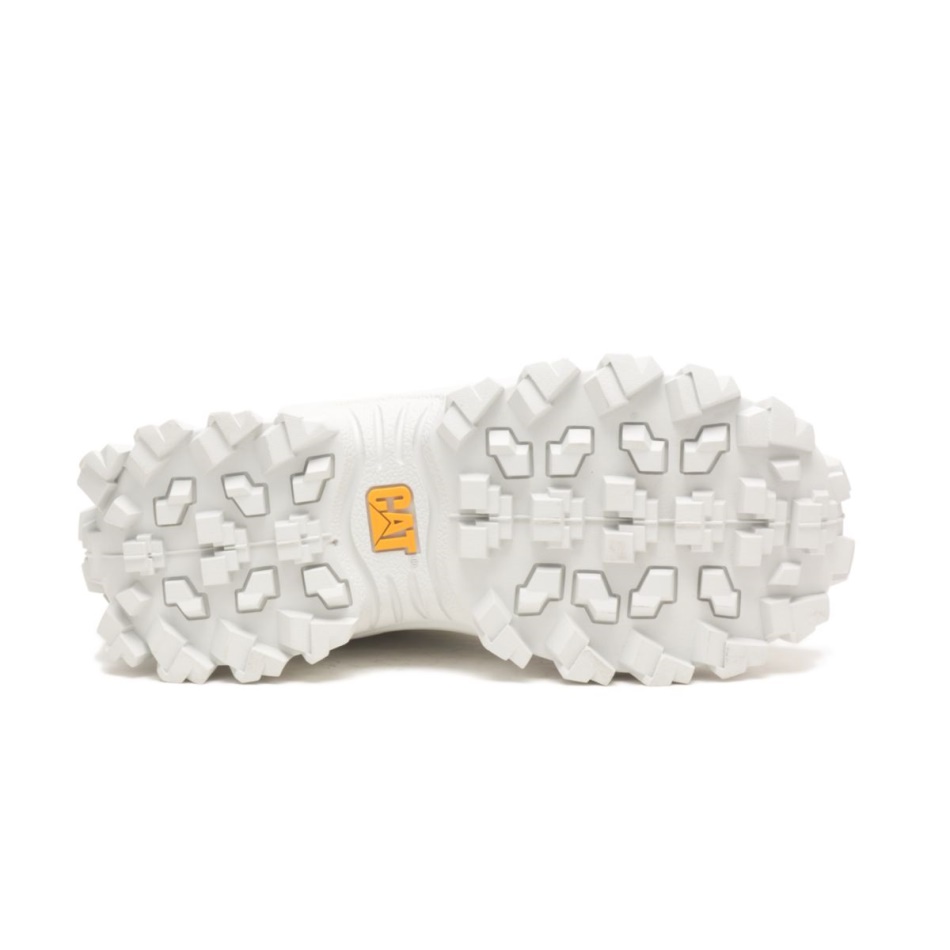 Caterpillar εισβολέας παπούτσι παγετώνας γκρι-θείο άνοιξη